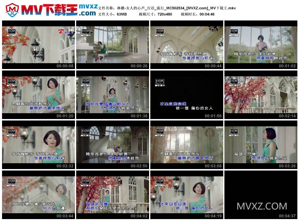 林姗-女人的心声_台语_流行_MC502534